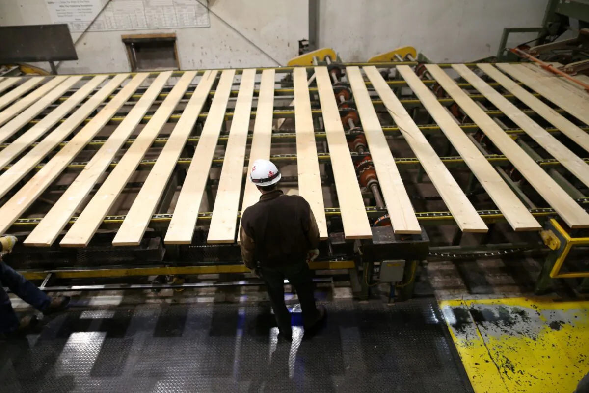 A worker inspects lumber on a conveyor belt at West Fraser Pacific Inland Resources sawmill in Smithers, British Columbia, Canada, on Feb. 4, 2020. (Reuters/Jesse Winter)