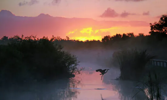A Journey to Florida’s National Parks