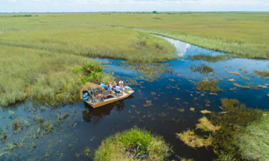 Beyond South Beach: Fun Day Trips From Miami
