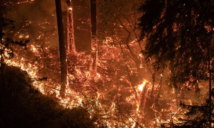 Northern California Wildfires Kill Three, Force Evacuation of Thousands