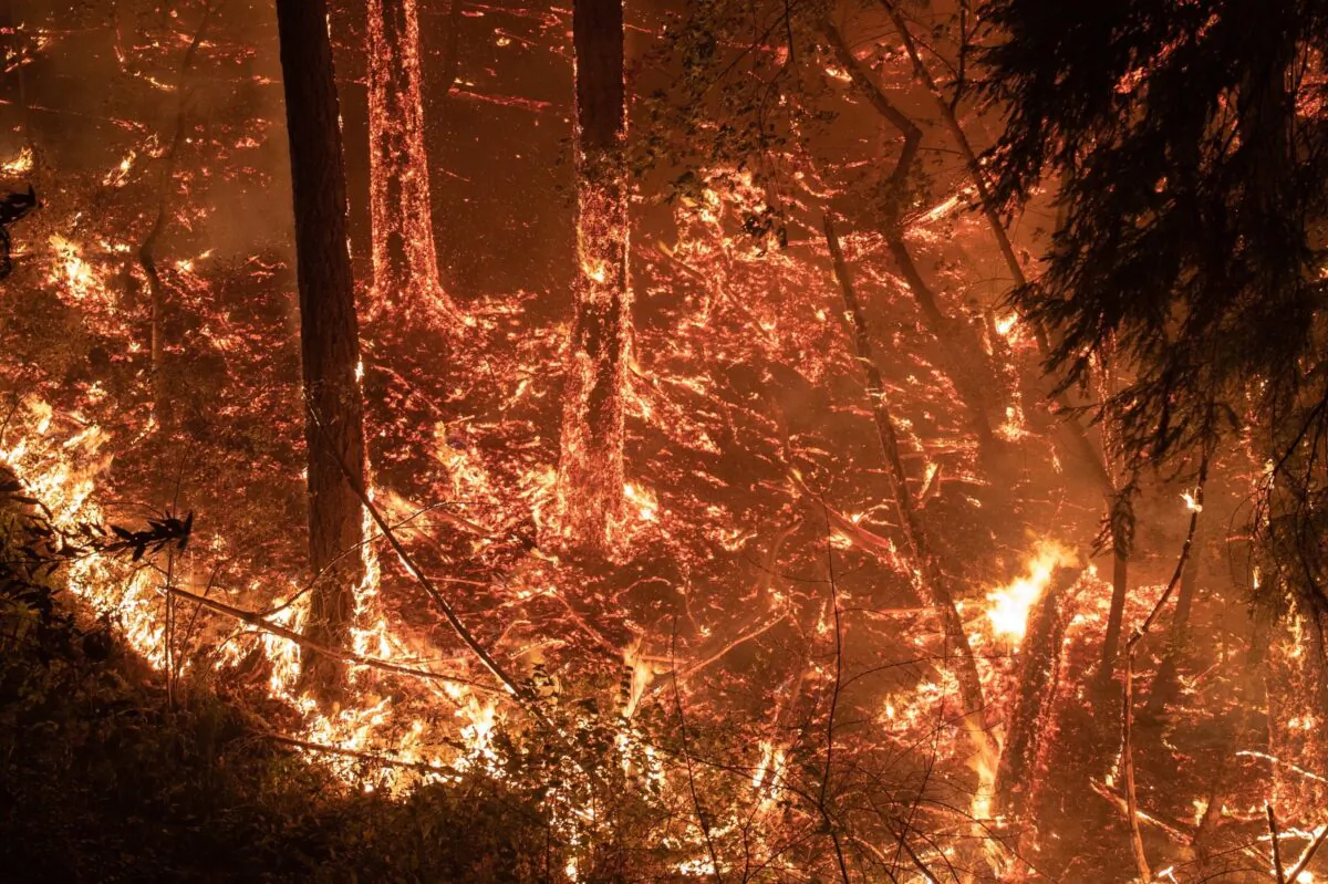 The Glass Fire burns along a hillside in Calistoga, Calif., on Sept. 28, 2020. (Adrees Latif/Reuters)