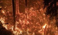 Napa Valley Wineries Threatened by Wildfires, as Second California Blaze Kills Three