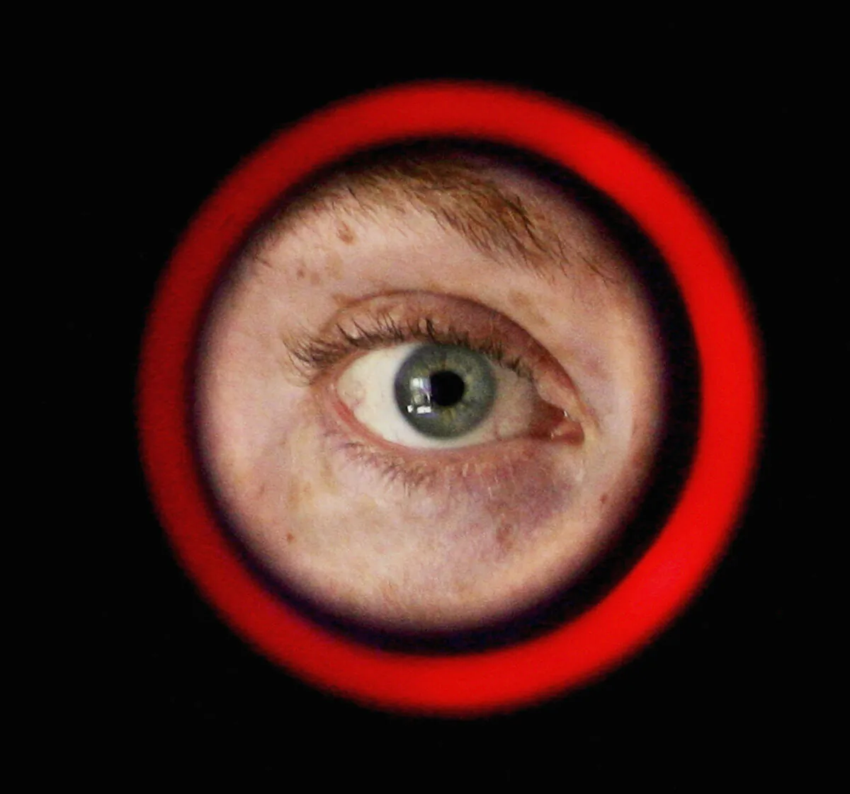 An iris-recognition device is operated at Argus Soloutions in Sydney, Australia, on Aug. 11, 2005. (Ian Waldie/Getty Images)