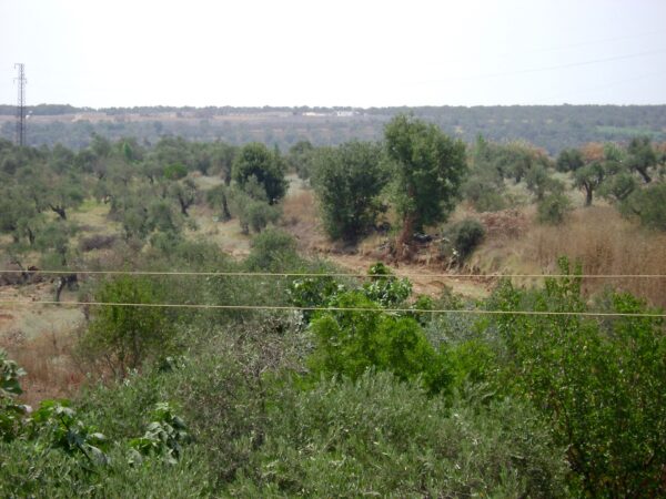 Epoch Times Photo