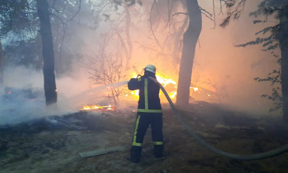 A firefighter works at the site of a forest fire in Luhansk region, Ukraine, in this handout picture released on Oct 1, 2020. (State Emergency Service Of Ukraine/Handout via Reuters)