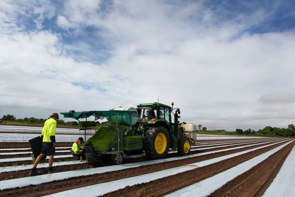 Young Aussies Farm Incentive 6000 to Fill Harvest Shortages