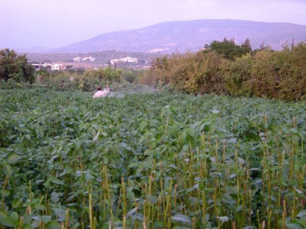 Epoch Times Photo
