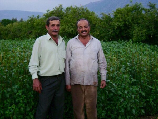 Epoch Times Photo