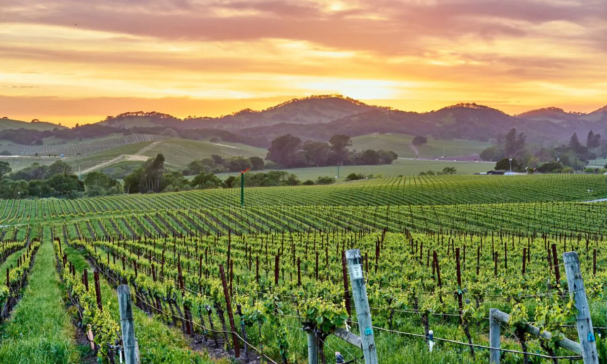 California dominated the overall medal count. (Haveseen/Shutterstock)