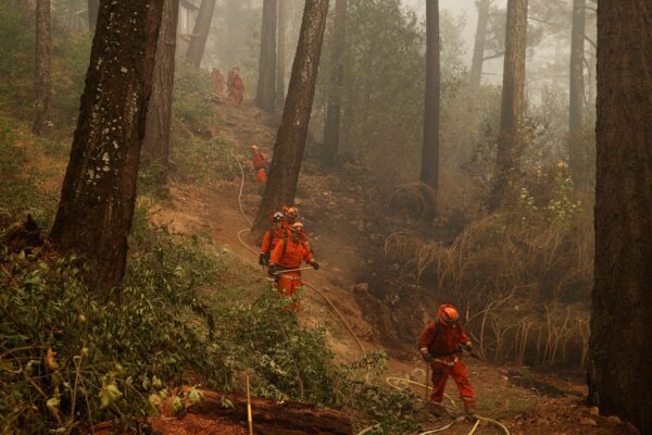 A group of inmate firefighters
