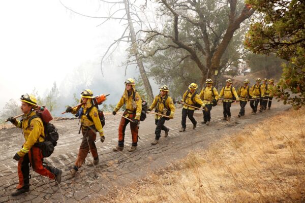 Members of the Cal Fire CZU