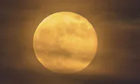 October 2020 Will Feature 2 Full Moons, Including a Rare ‘Blue Moon’ on Halloween Night