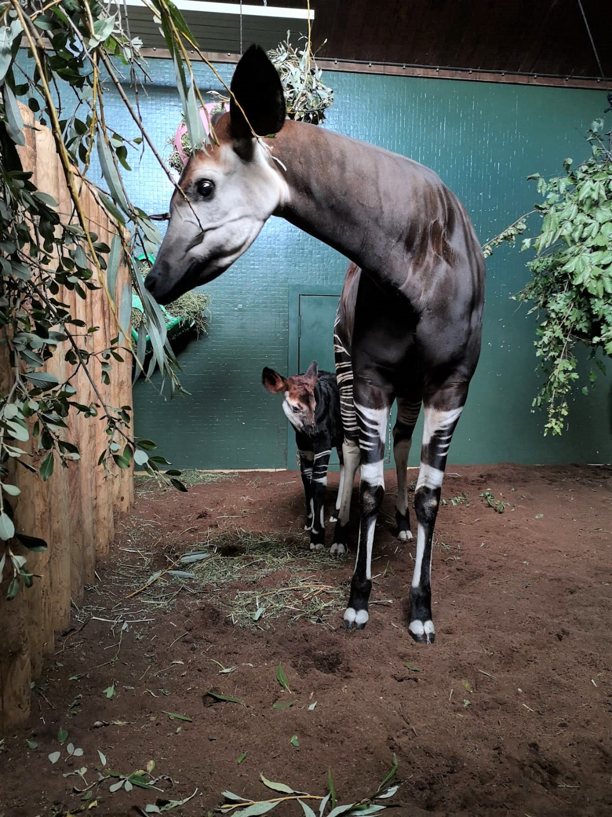 Epoch Times Photo