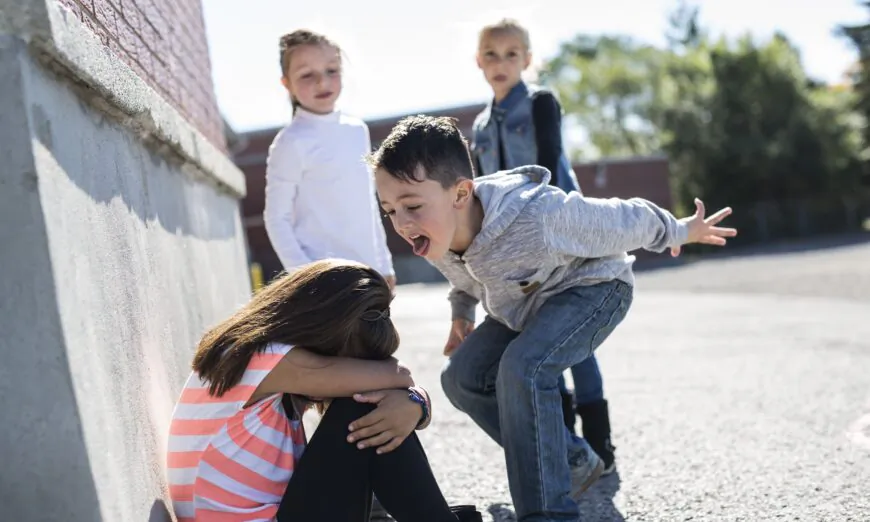 Inside the Bully Mind