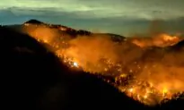 Record-Breaking California Wildfires Surpass 4 Million Acres