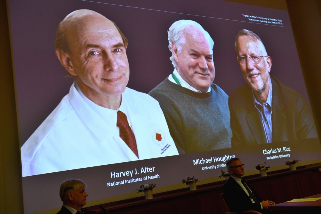 The 2020 Nobel laureates in Physiology or Medicine are announced during a news conference at the Karolinska Institute in Stockholm, Sweden, on Oct. 5, 2020. (Claudio Bresciani/TT via AP)