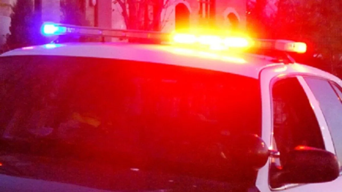 A police car in a file photo. (Mira Oberman/AFP/Getty Images)