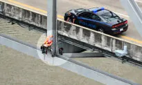 Engineer Saves Pregnant Dog Stranded on Bridge 120 Feet Over Mississippi River