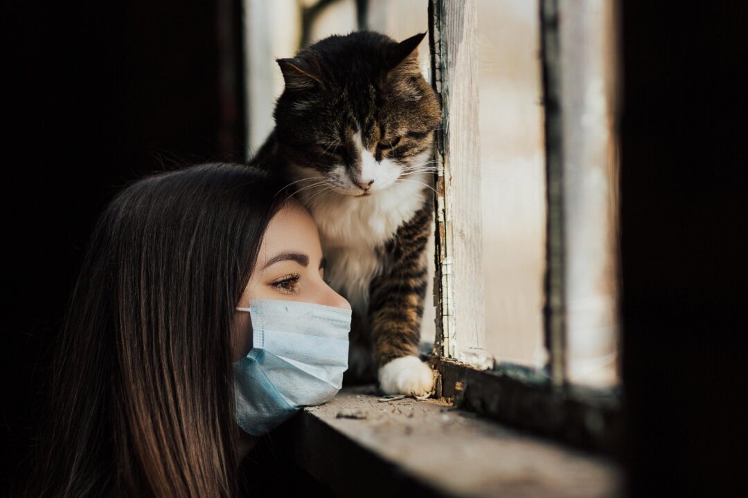 Human beings rely on each other for more than physical security. Our mental and emotional health hinges in large part on social connection. (Summer loveee/Shutterstock)