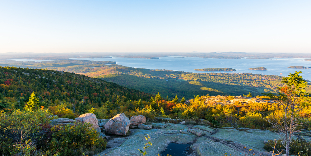 shutterstock_496401466