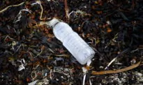 Mexico City Ban on Single-Use Plastics Takes Effect