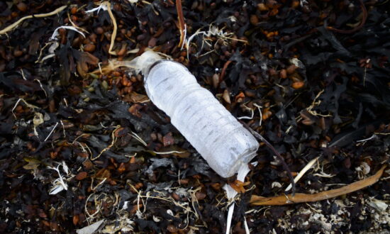 Mexico City Ban on Single-Use Plastics Takes Effect