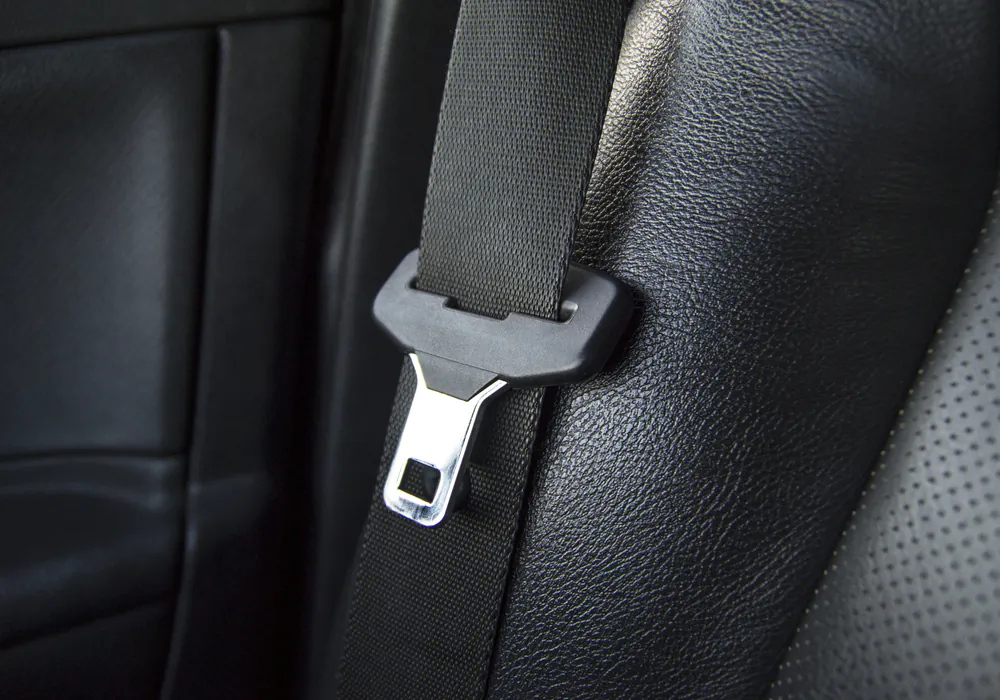 Seatbelt Laws Back in Spotlight After Deadly Bus Crash
