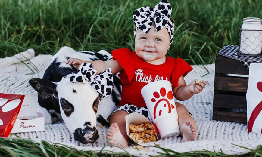 Florida baby, rescued calf delight social media with Chick-fil-A photoshoot