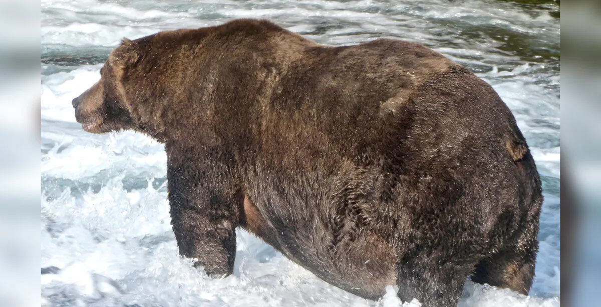 (Courtesy of U.S. National Park Service/ Handout via REUTERS)