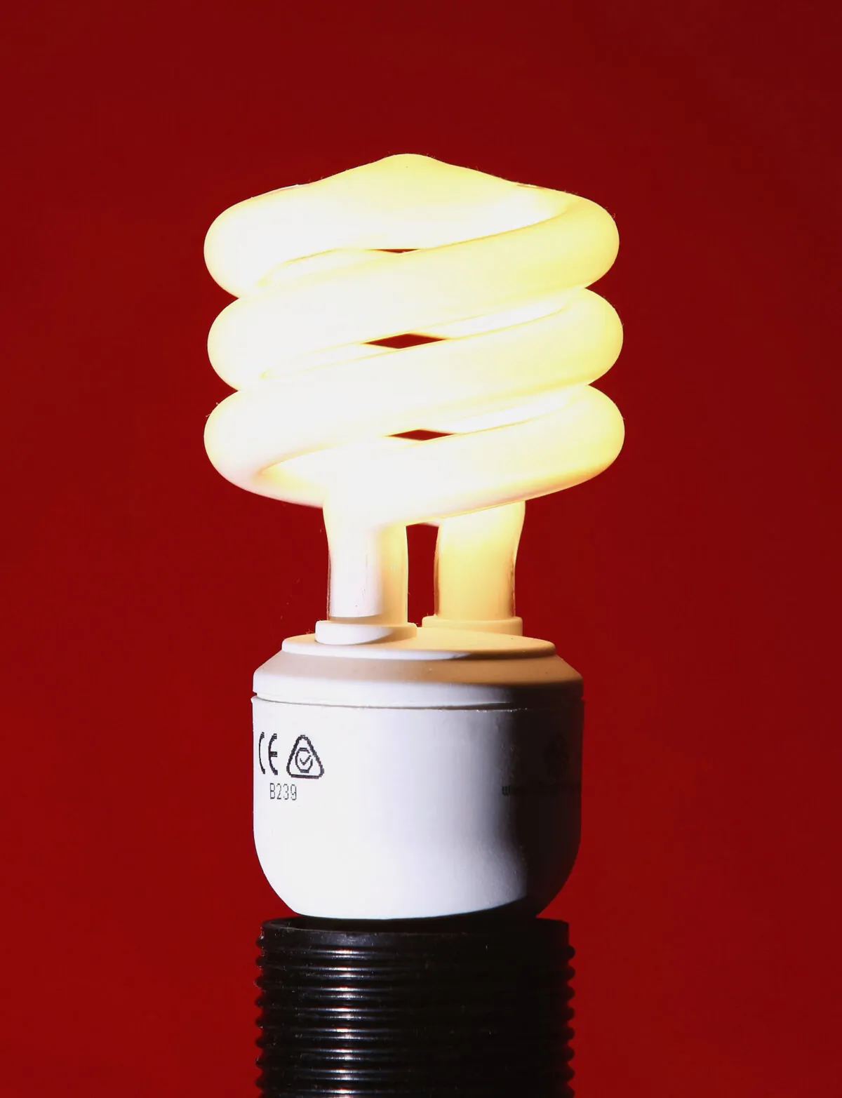 A Compact Fluorescent Bulb (CFL) is seen illuminated in Sydney, Australia, on June 4, 2007. (Cameron Spencer/Getty Images)