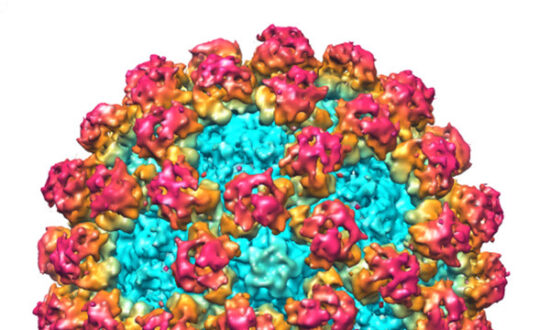 Norovirus Outbreak in Chinese College