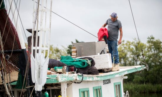 Hurricane Delta Knocks out Power for Louisiana Residents Who Just Got It Restored