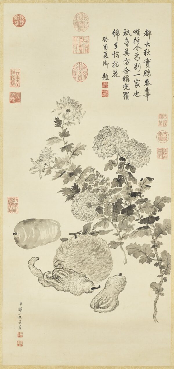 Chrysanthemums literary talent