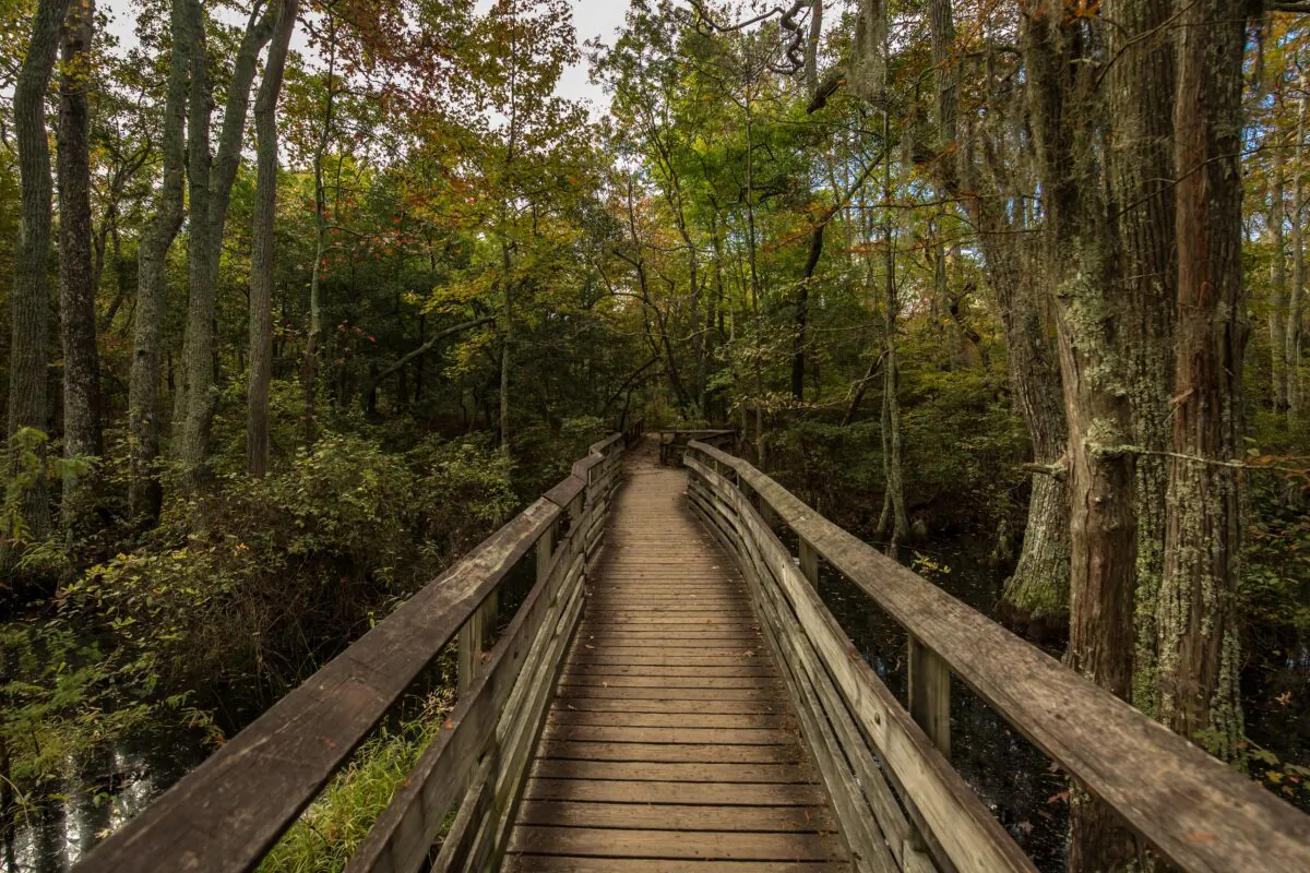 First Landing State Park. (Courtesy of the Virginia Beach Convention and Visitors Bureau)