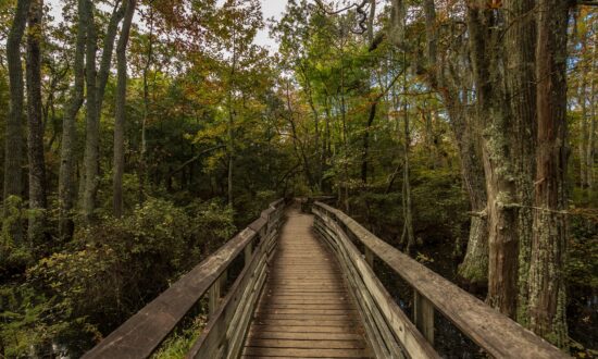 Virginia Beach, Rain or Shine 