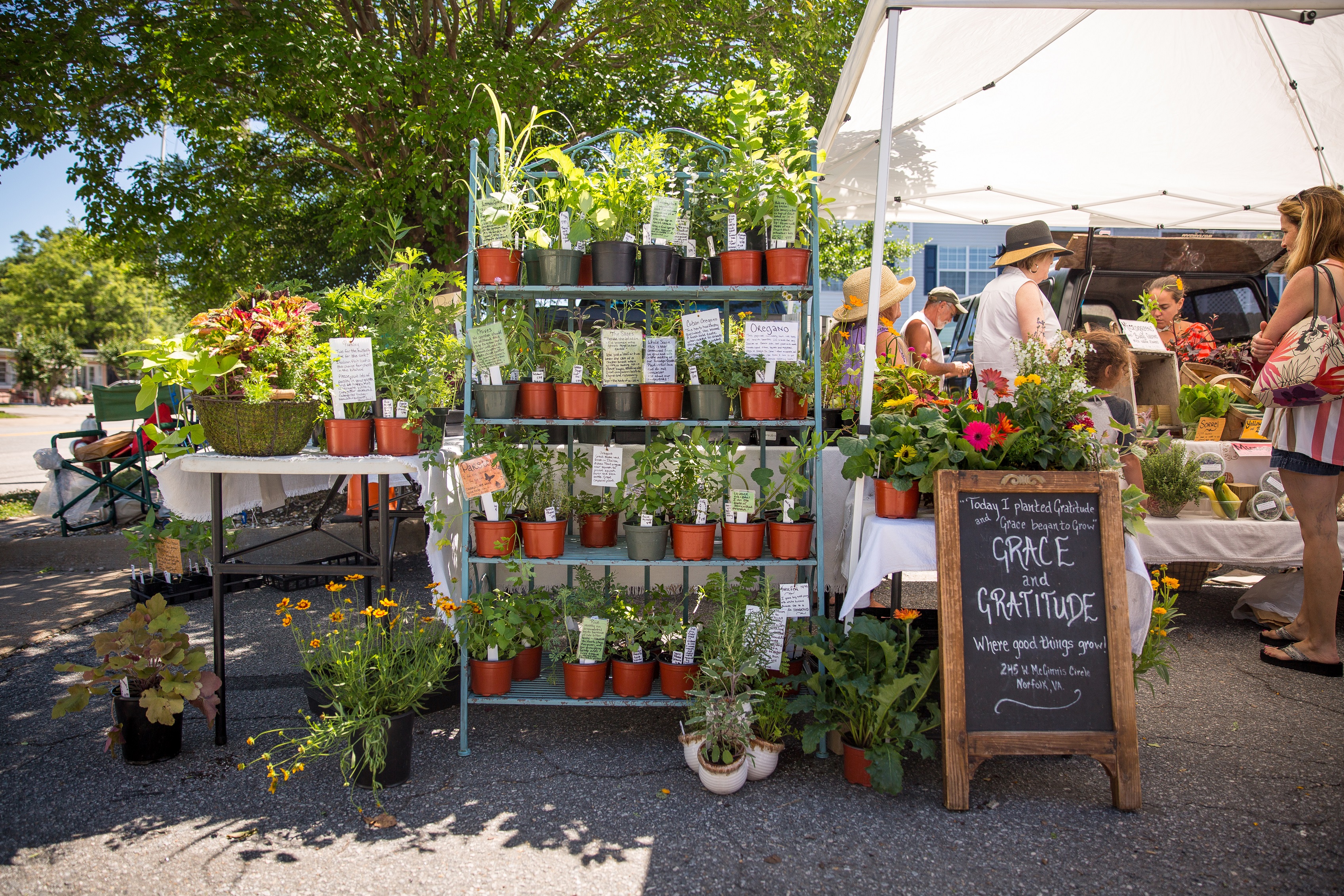 Old Beach Farmers Market