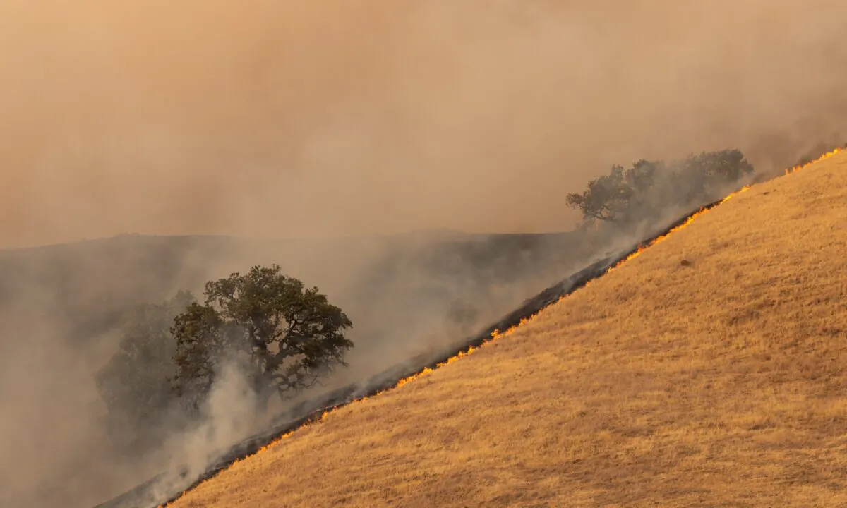 The Glass Fire burns in the hills near a vineyard in St. Helena, Calif. The Napa Valley, the worldwide symbol of fine wine in America, has been burning for weeks. (Von Trevor Bexon/Shutterstock)