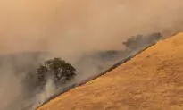 Wine Talk: Napa Valley Burning