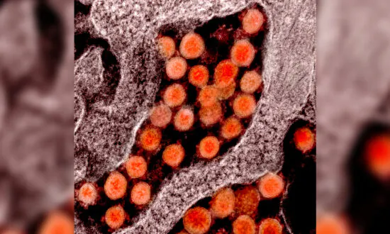 US Begins Trials for Japanese COVID-19 Antiviral Drug Xocova