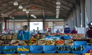 North Carolina Farmers Concerned About Mail-In Voting Ahead of Election