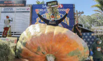 Pumpkin From ‘Halloween Capital of the World’ Wins Annual Weigh-Off