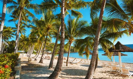 Queensland ‘Good to Go’ for Tourists, State Launches $5M Ad Campaign