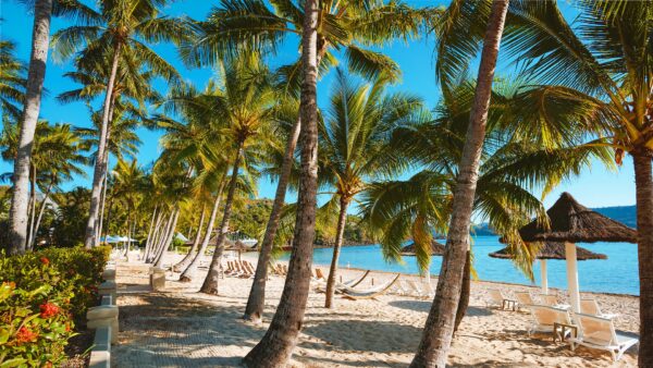 Beach club Tourism Queensland
