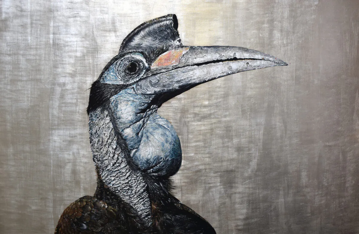 “Hornbill,” 2020, by Andrew Pledge. Oil on wood panel with silver leaf; 20 inches by 30 inches. (Courtesy of Andrew Pledge)