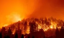 California Heat Wave Prompts Power Shutdowns, Fire Danger