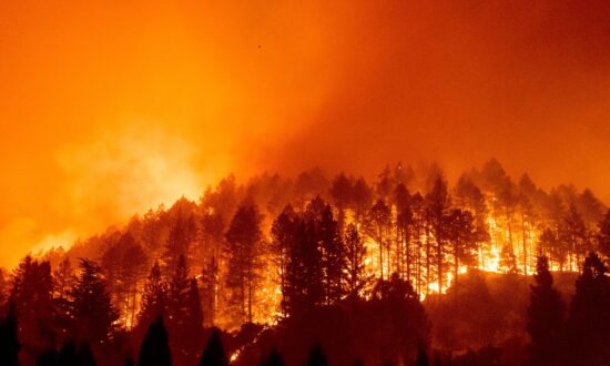 California Wildfires Cost $150 Billion in Damages: Report