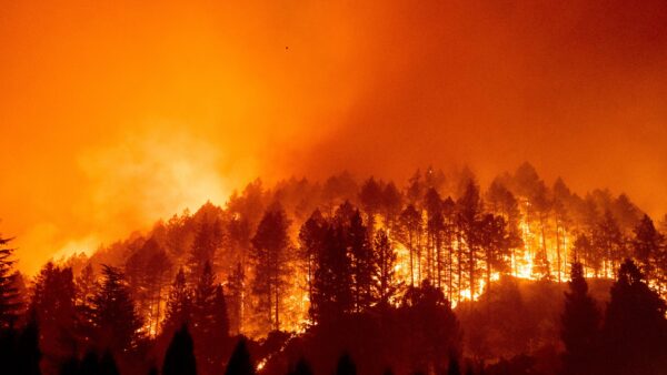 Glass Fire burns a hillside