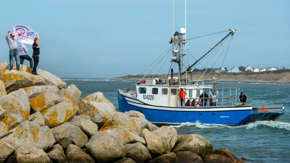 Members of the Sipekne'katik First Nation head from the wharf in Saulnierville, N.S., after launching their own self-regulated fishery on Sept. 17, 2020. (The Canadian Press/Andrew Vaughan)