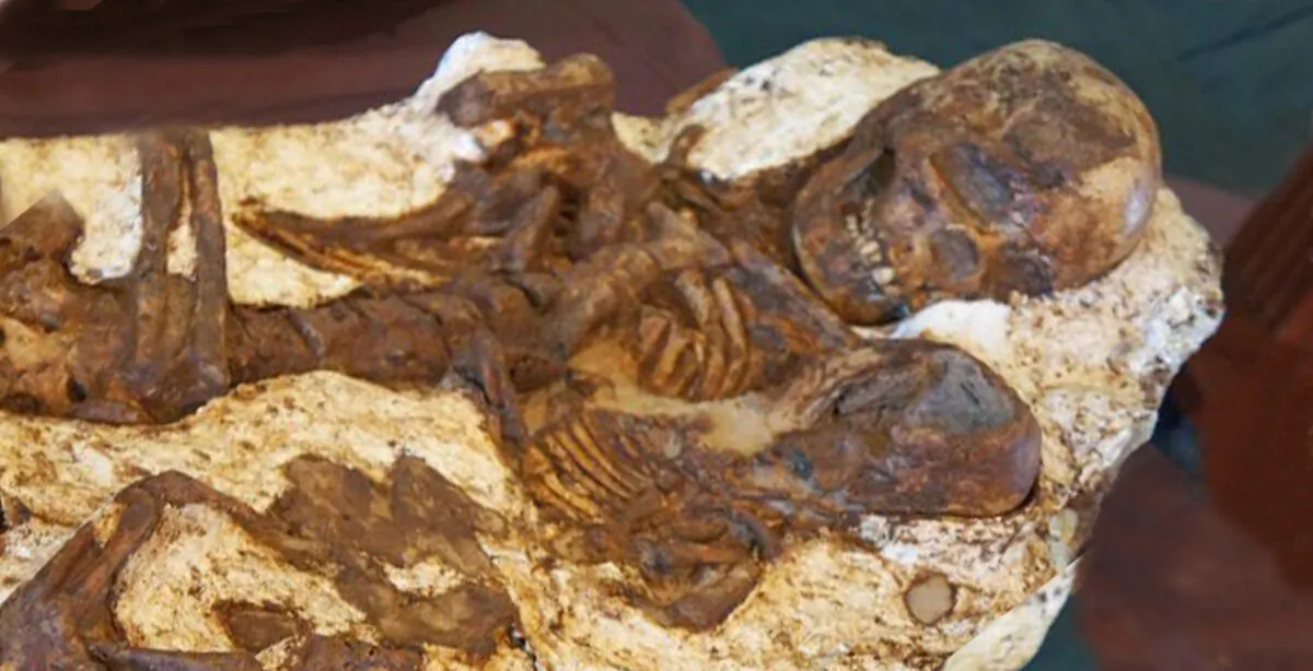 (Courtesy of National Museum of Natural Science)