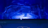Ontario Expanding List of Items Accepted in Blue Box Recycling Program